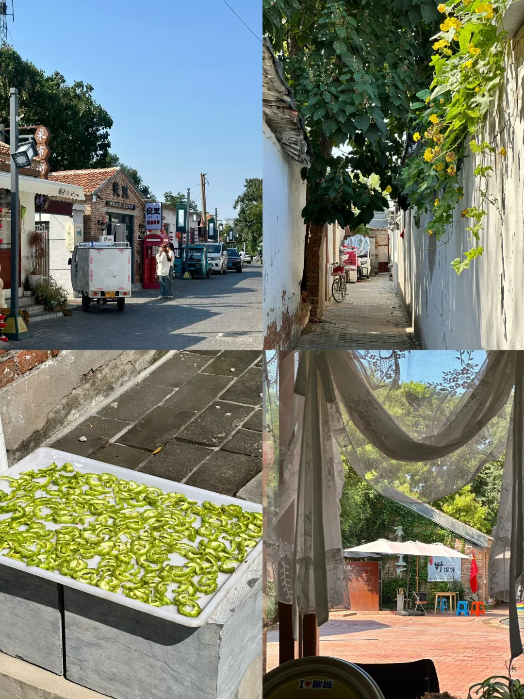 聊城｜避开人潮，我的初秋短途旅行目的地🍃