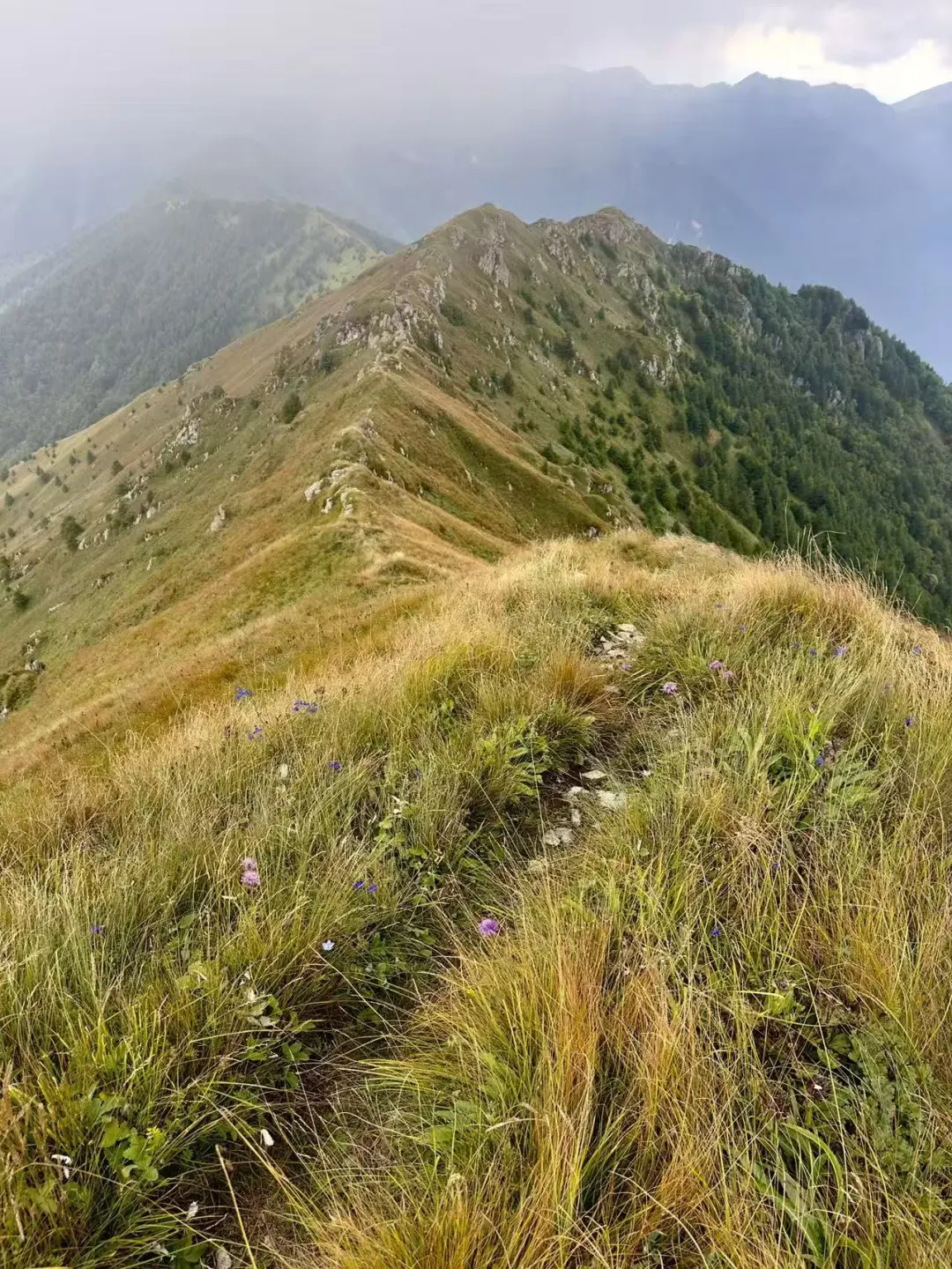 9月12-13日：那座山徒步赏秋