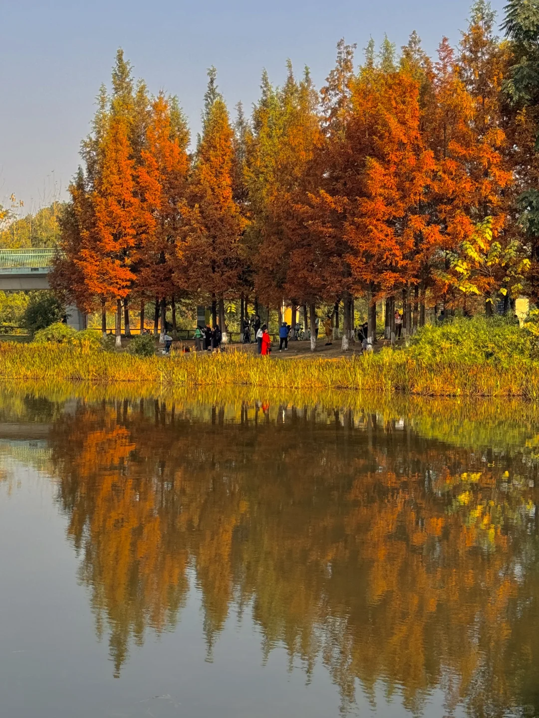 果然成都最好的地方都是免费的。。。。。(合集)