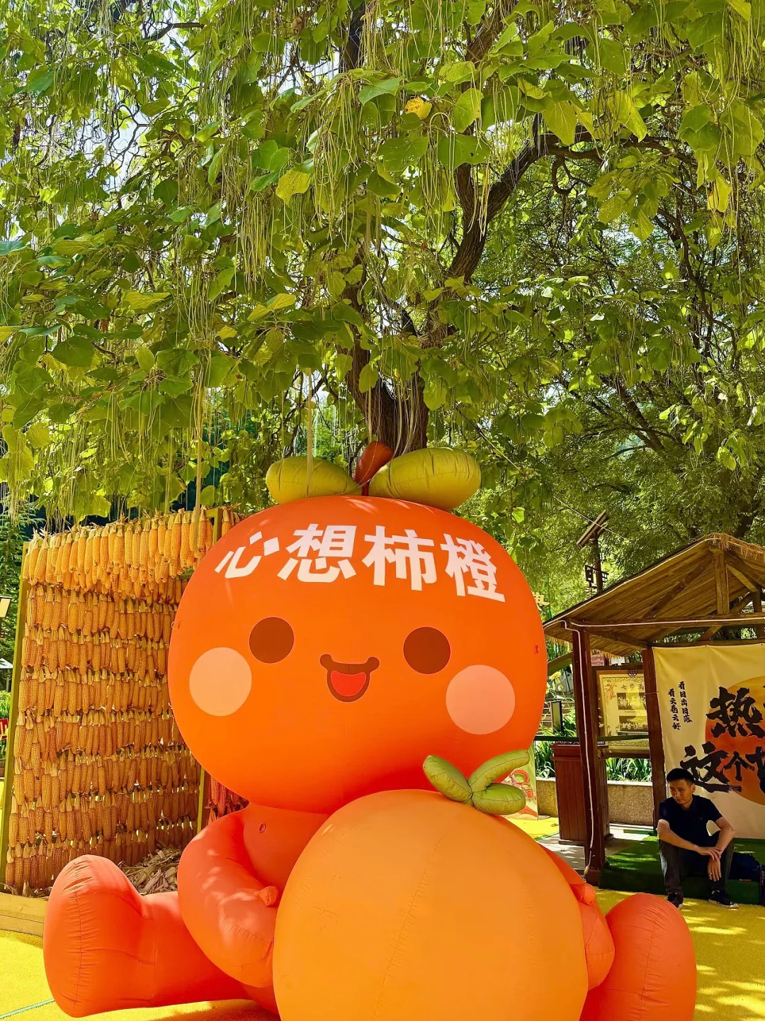 邯郸七步沟景区免门票非常不错值得一去