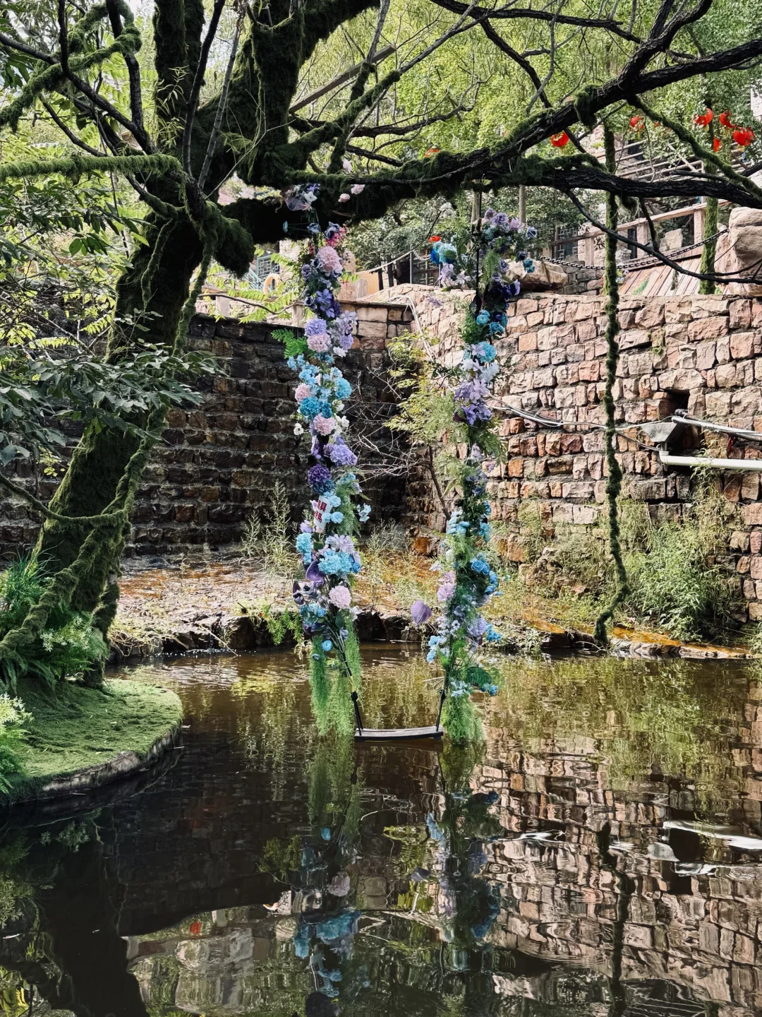 邯郸人也有自己的绿野仙踪🧚🏻‍♀️