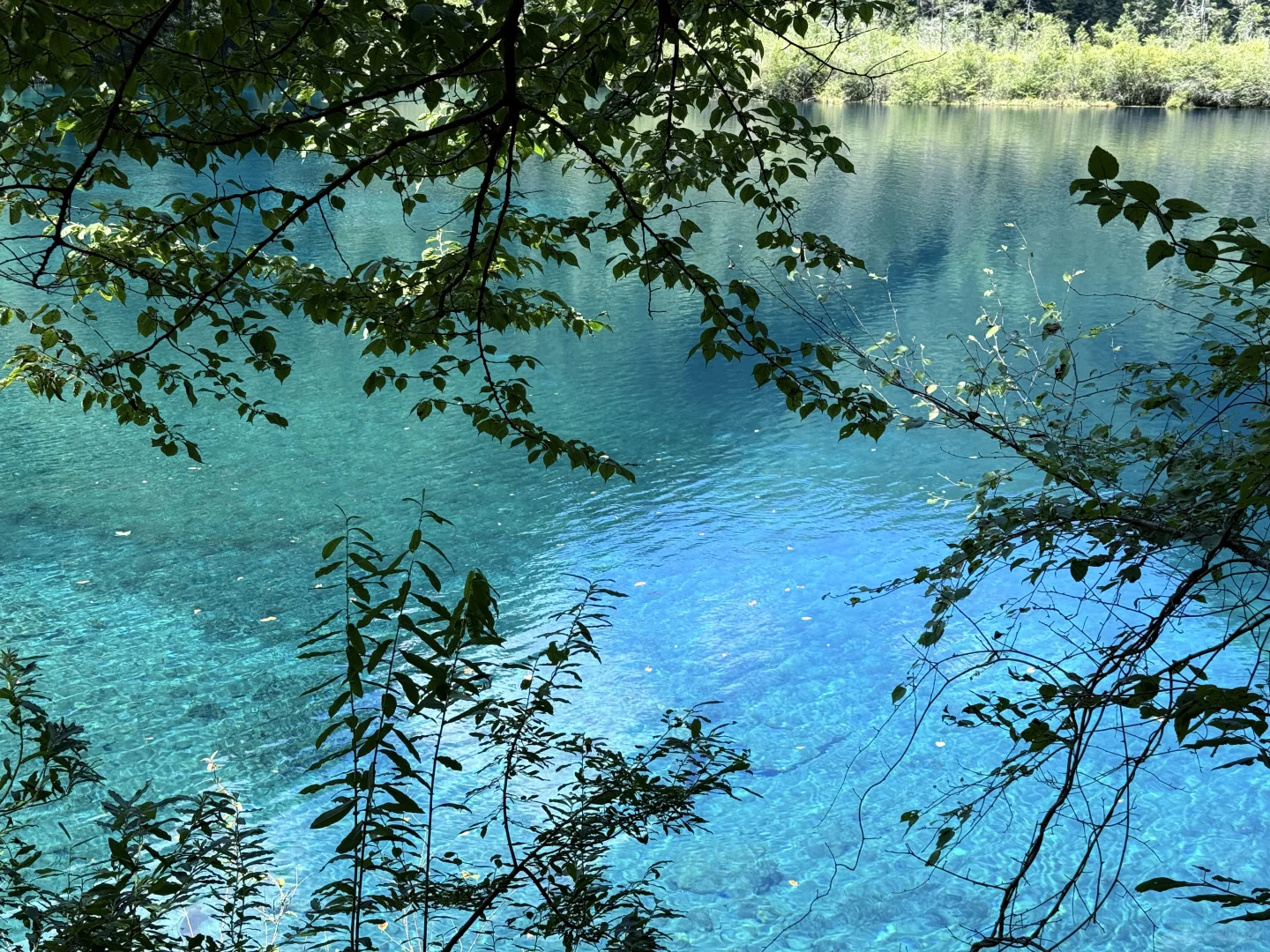 九寨沟-三星堆-乐山-都江堰-成都旅游攻略