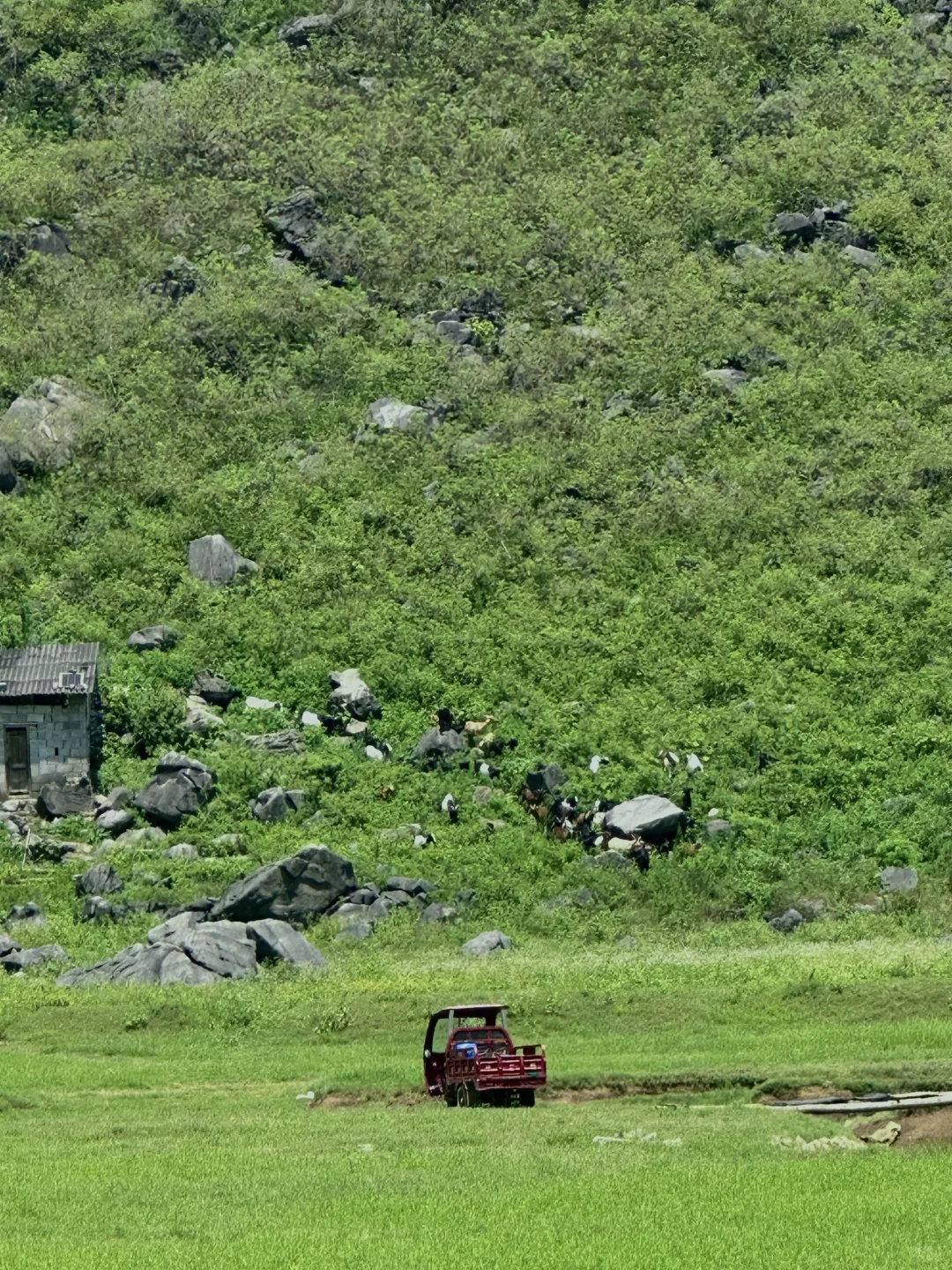 没去新疆，我在广西！柳州出发1h小众路线