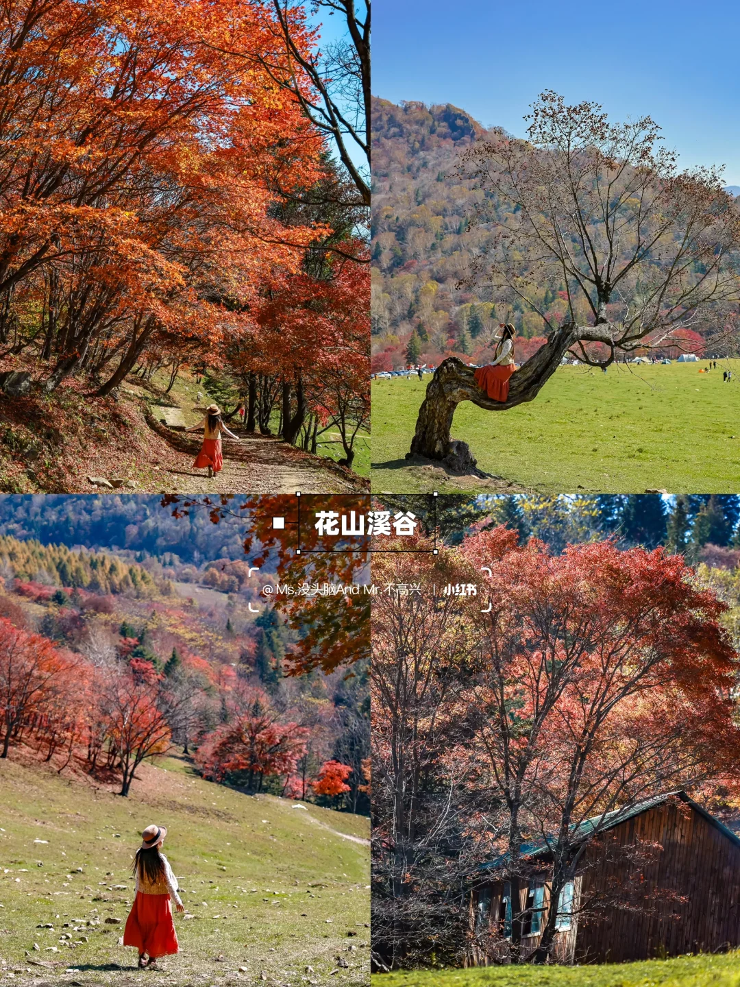 长春➩沈阳 | 国庆东北赏秋自驾路线推荐🚗