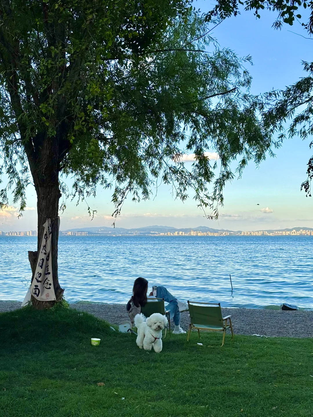 昆明最美的地方都是免费的（📍合集附地址）