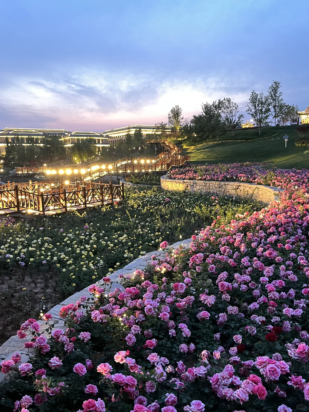 不是意大利是晋城！！都给我去啊啊啊啊！！！！