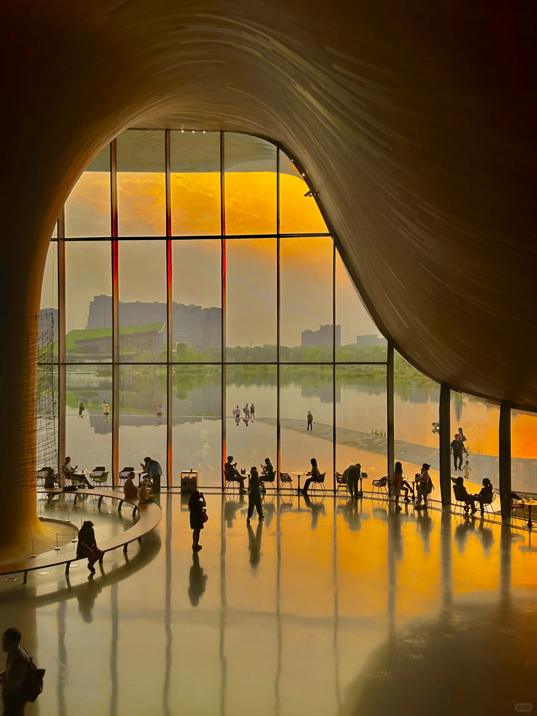 果然成都最好的地方都是免费的。。。。。(合集)