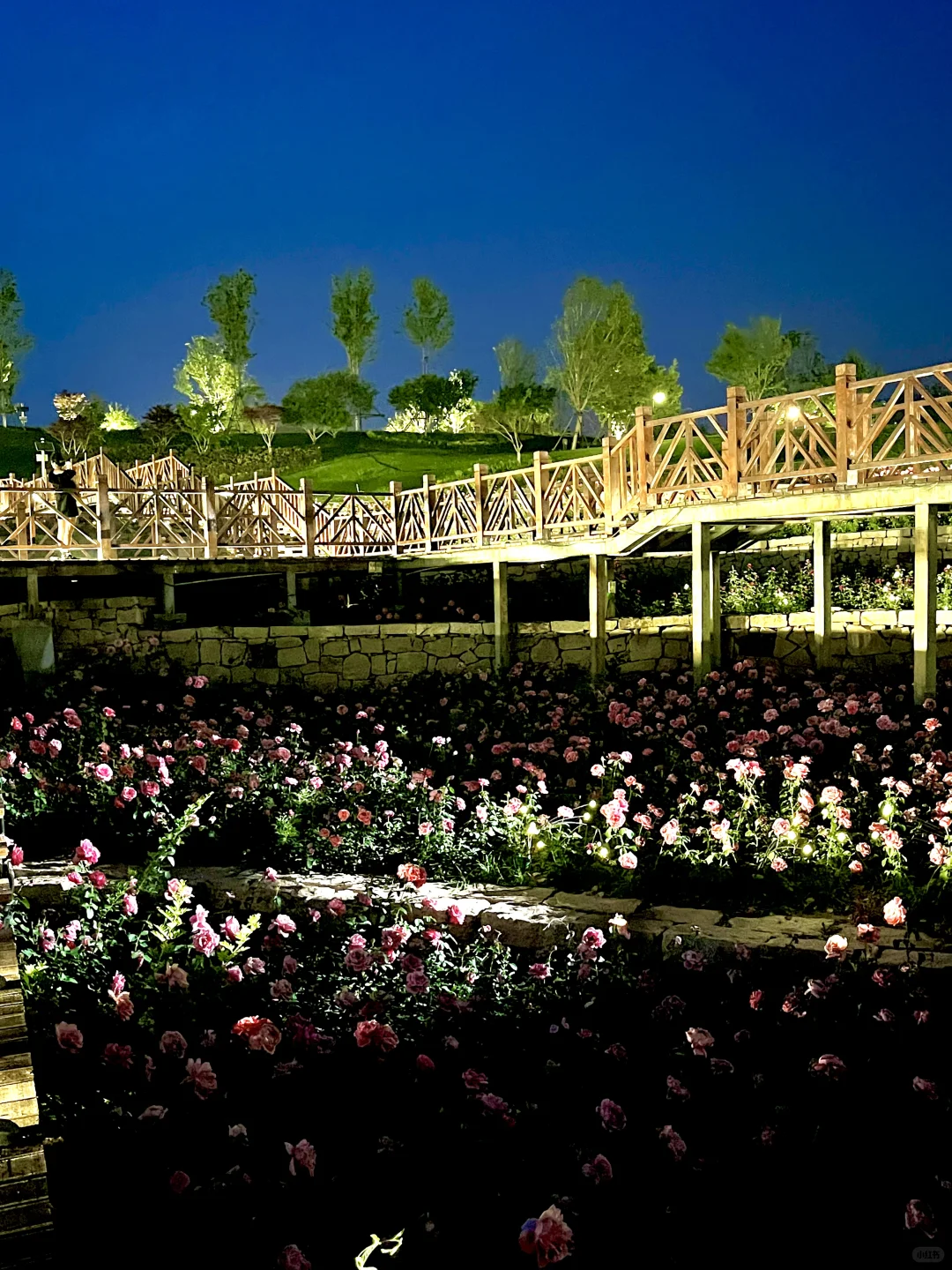 不是意大利是晋城！！都给我去啊啊啊啊！！！！