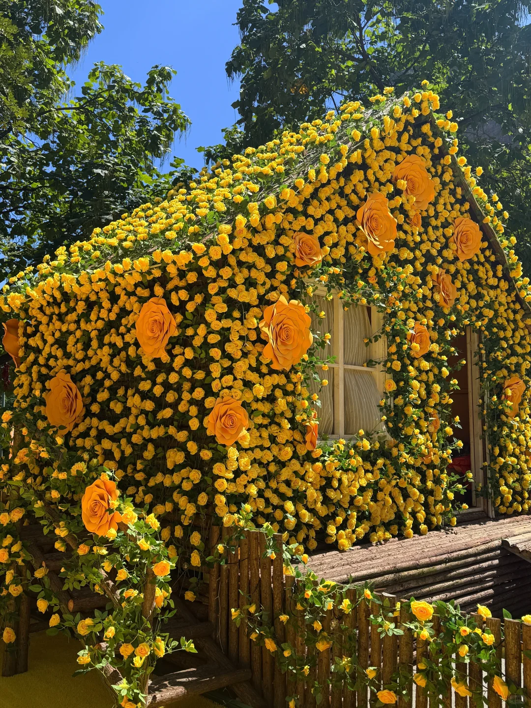 七步沟免门票啦！武安旅发必打卡秋日秘境✨