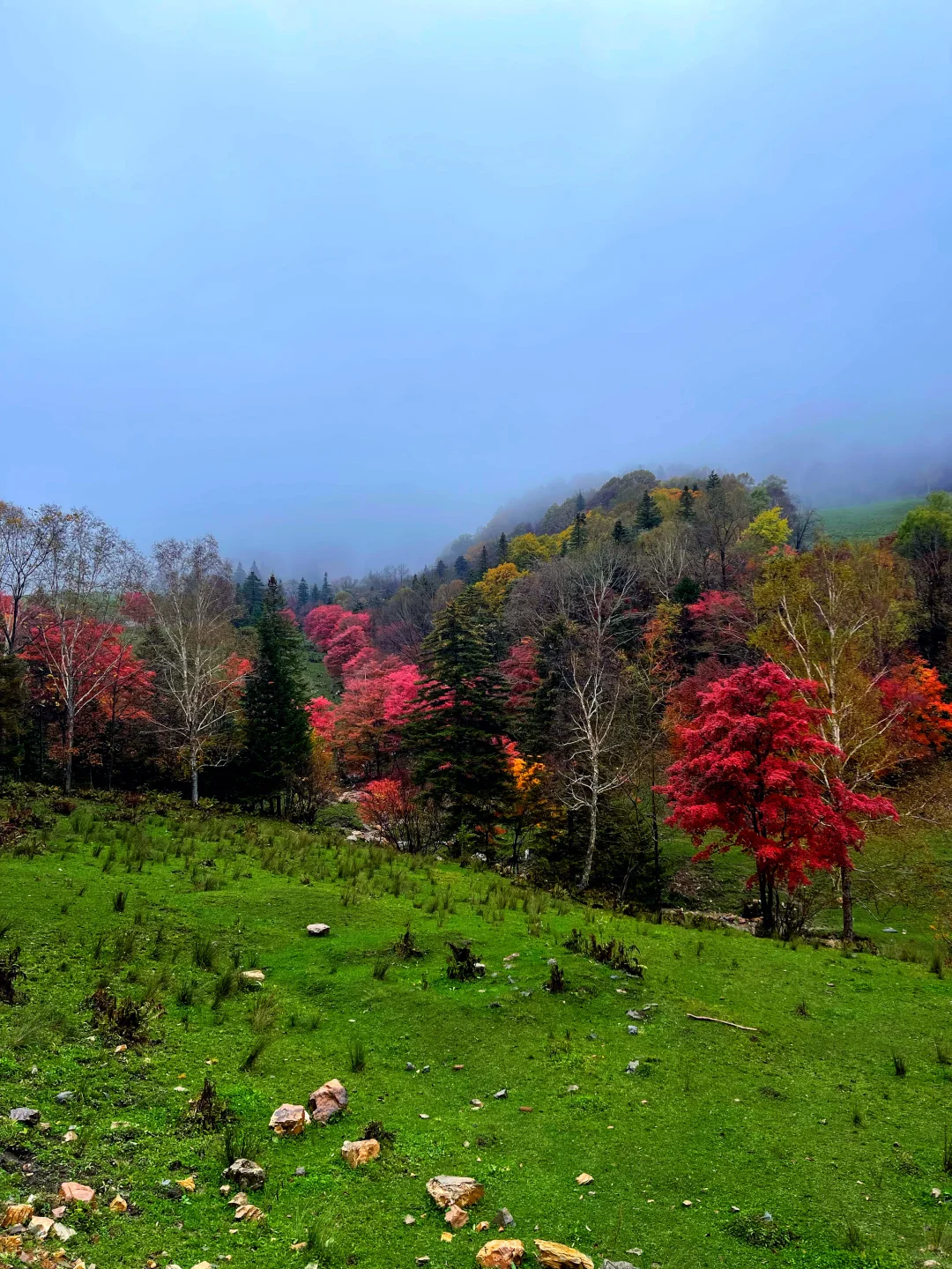 东北边陲小城，居然藏着祖国最美秋天！