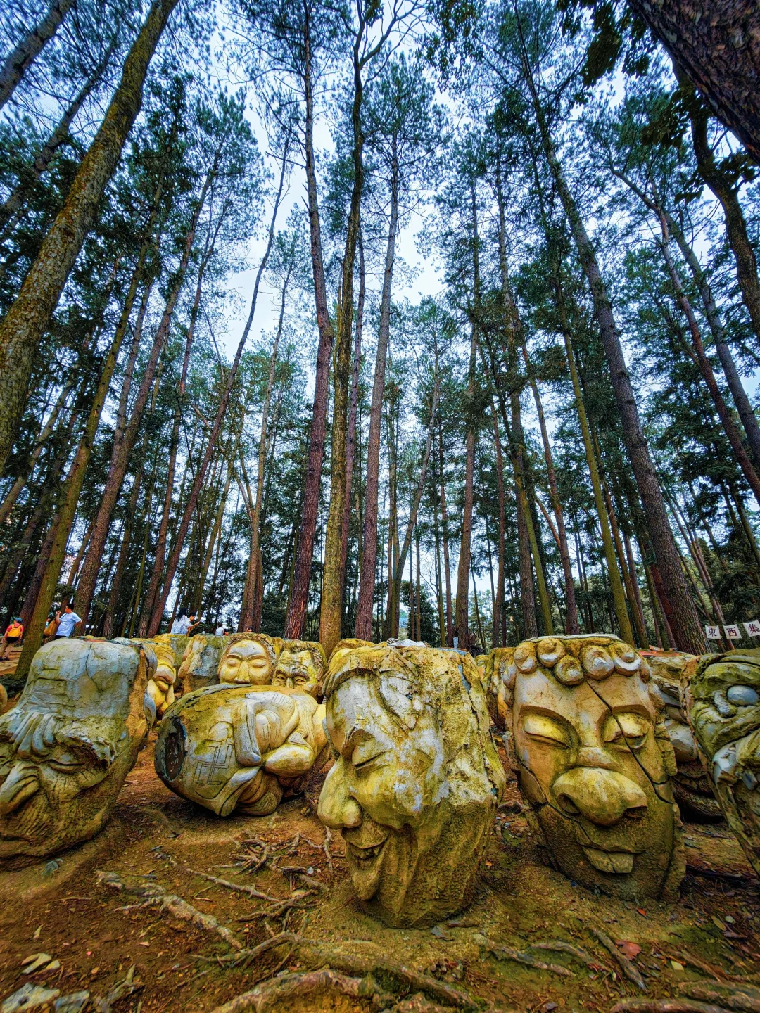 国家地理没骗我❗️我找到了现实版神庙逃亡