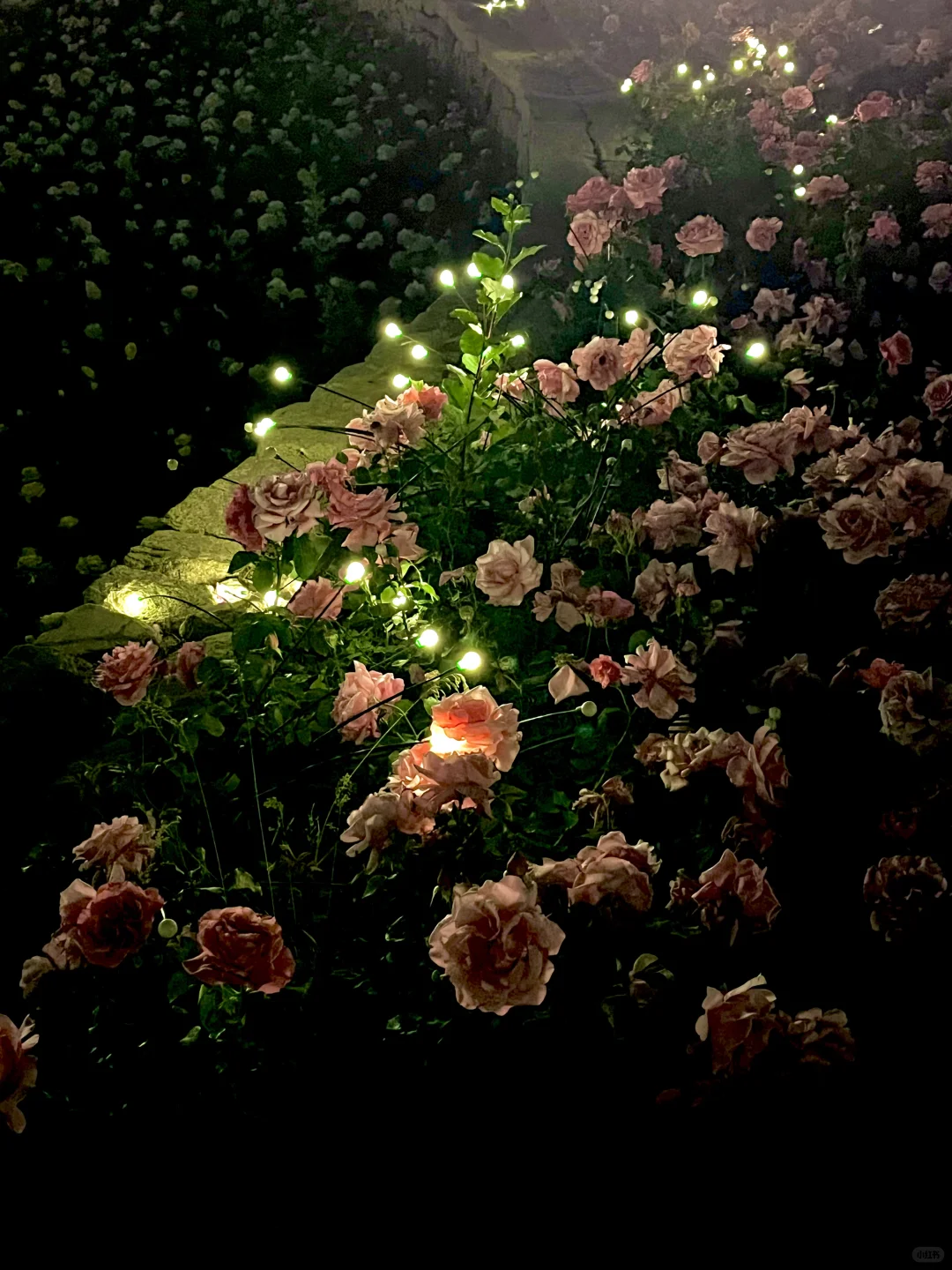 不是意大利是晋城！！都给我去啊啊啊啊！！！！