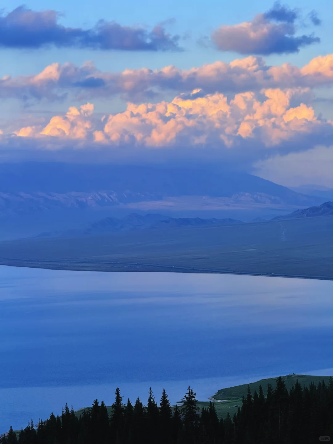 live｜新疆现实版旷野之息❗️