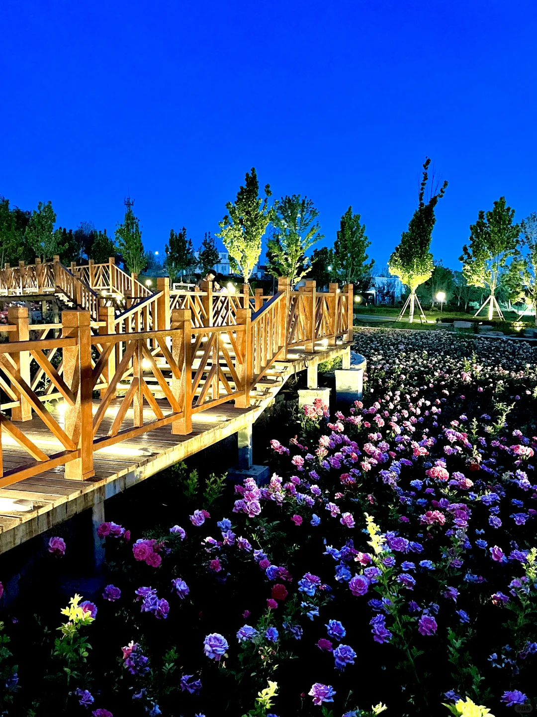 不是意大利是晋城！！都给我去啊啊啊啊！！！！