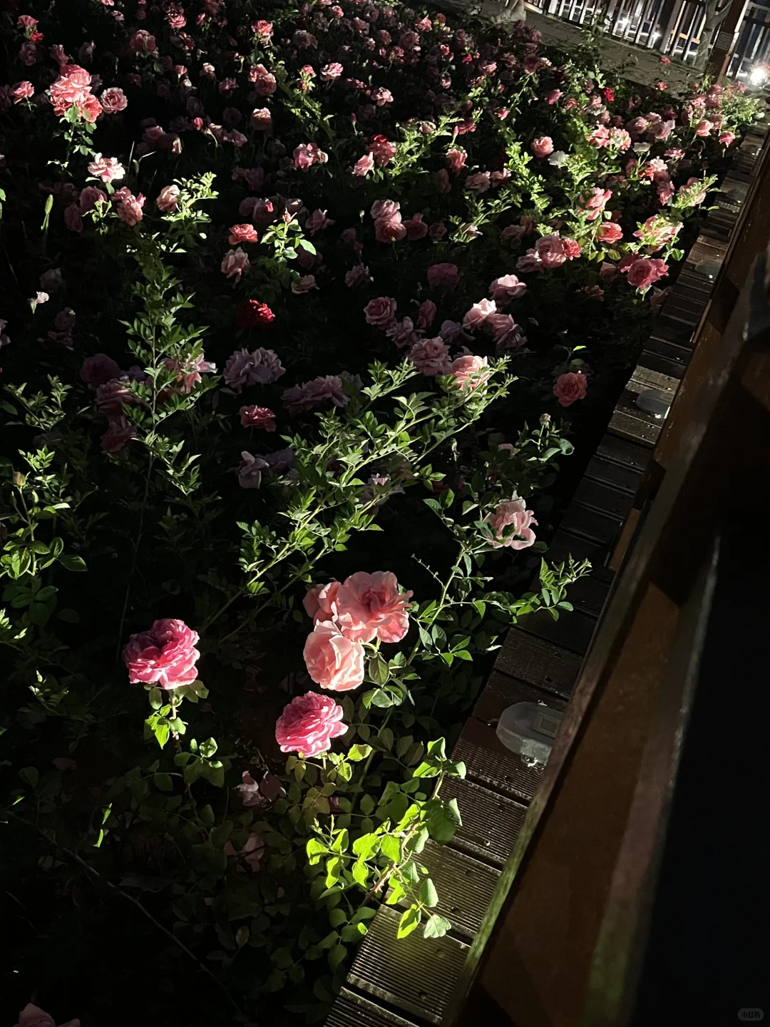 不是意大利是晋城！！都给我去啊啊啊啊！！！！