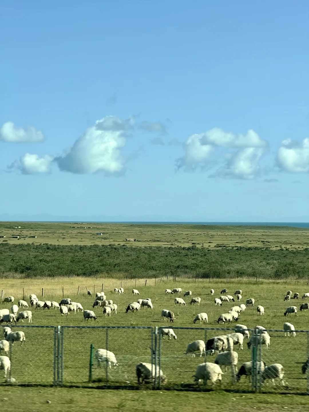 🌏我宣布九月是最适合去西宁的时间！
