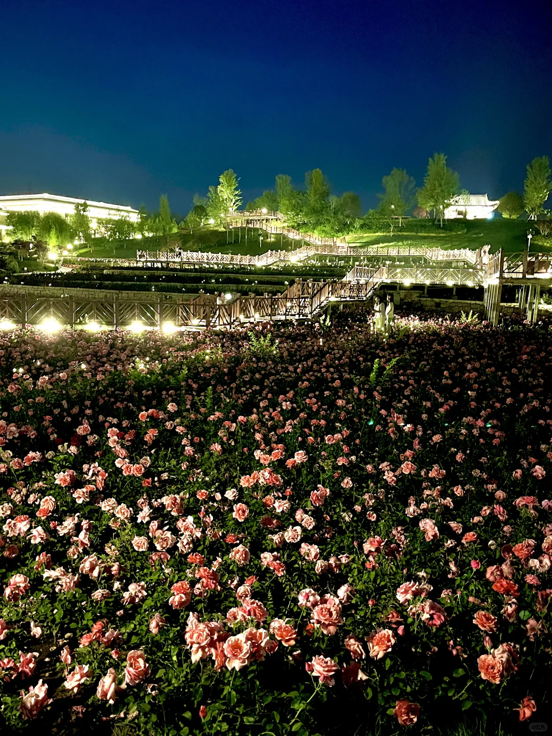 不是意大利是晋城！！都给我去啊啊啊啊！！！！