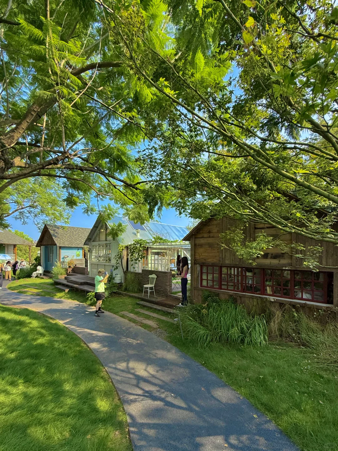 果然成都最好的地方都是免费的。。。。。(合集)