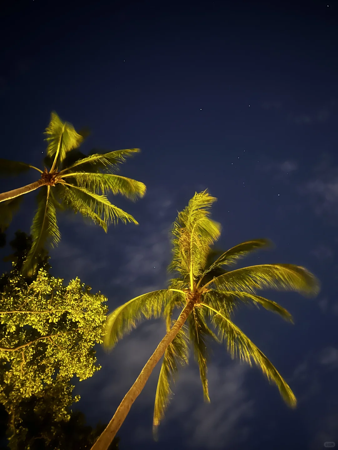 推荐一个冷门小众 免签国