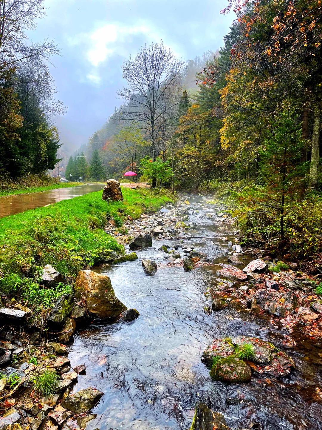 东北边陲小城，居然藏着祖国最美秋天！