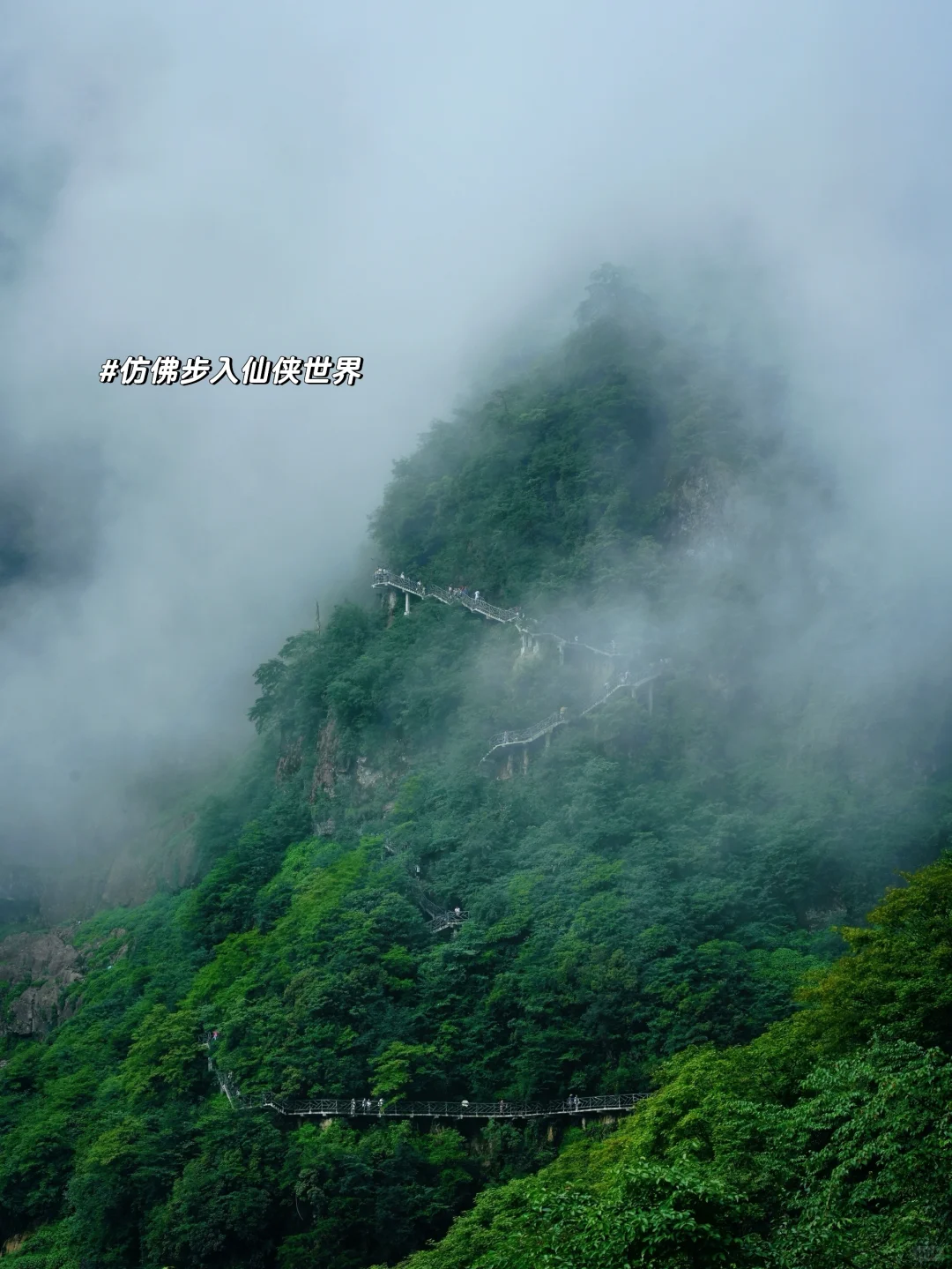 成都出发｜挑战每周出去玩（20/100）📍瓦屋山