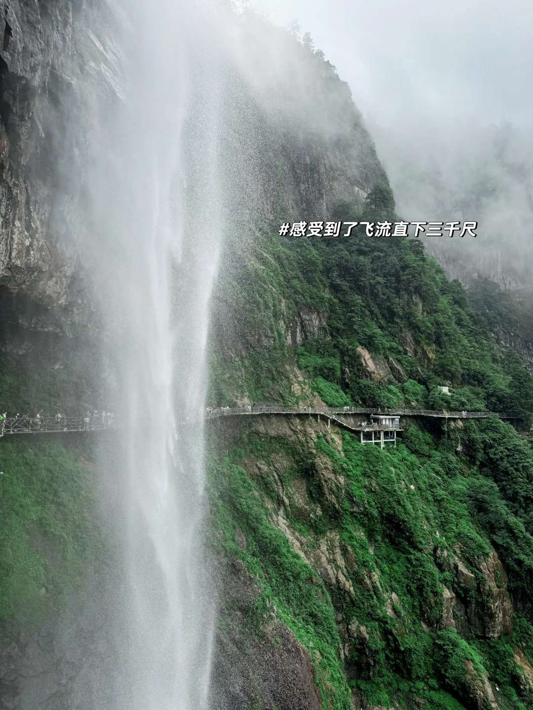 成都出发｜挑战每周出去玩（20/100）📍瓦屋山