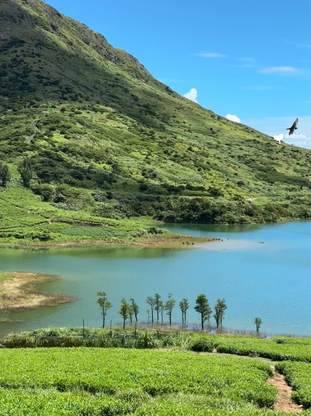 原来我的人间故乡海拉鲁大地在这里
