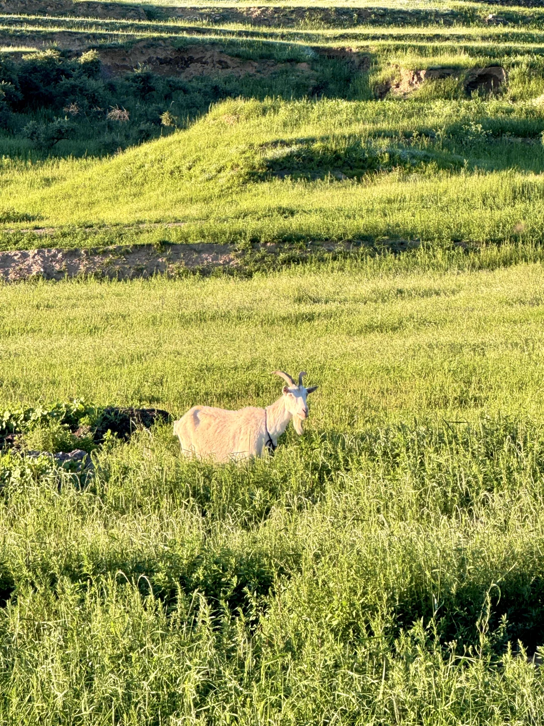 山西忻州一处绝美的小众地⛰️