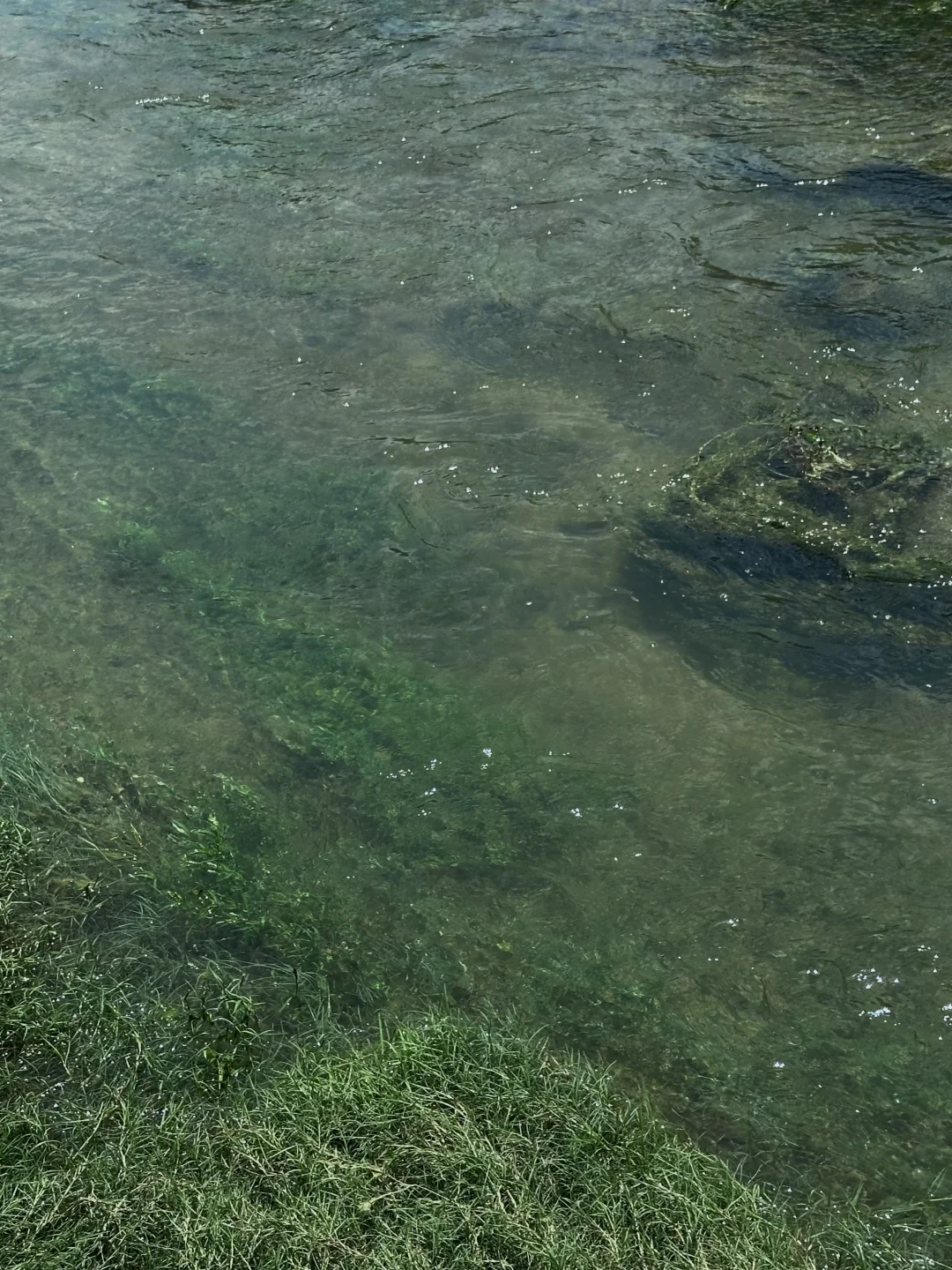 没去新疆，我在广西！柳州出发1h小众路线