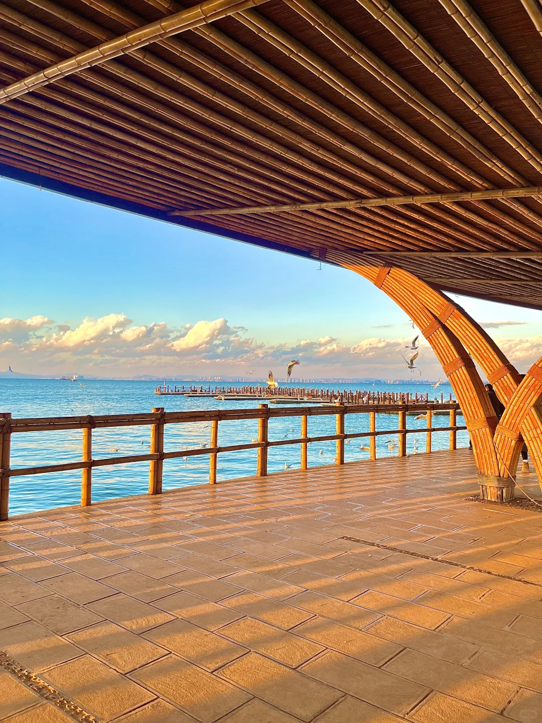 昆明最美的地方都是免费的（📍合集附地址）