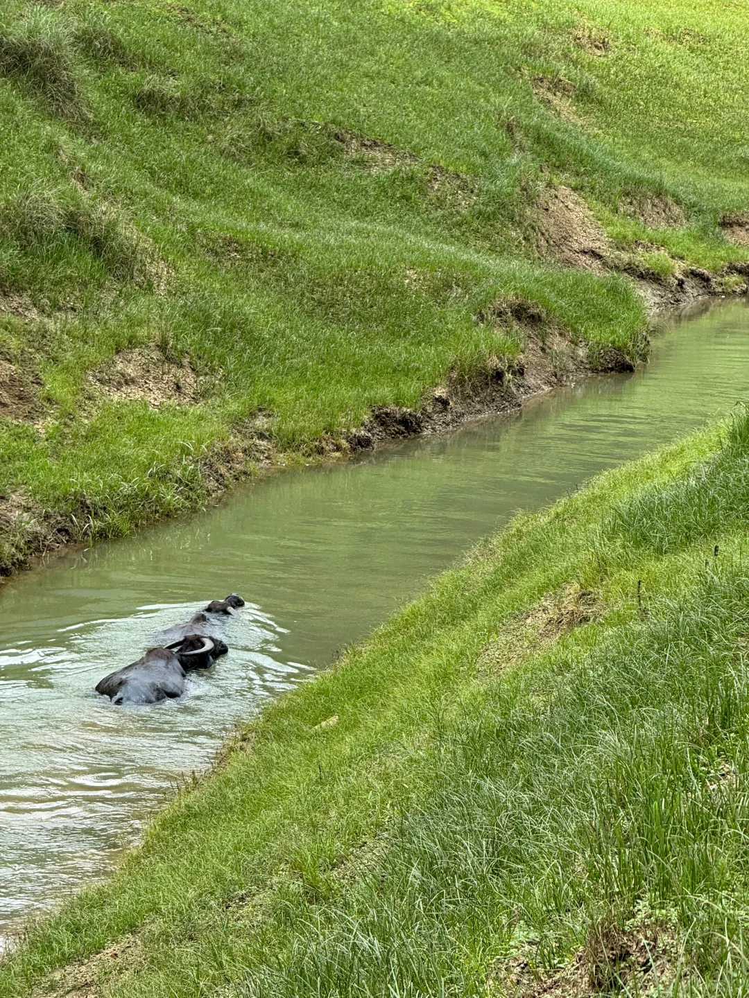 牛马新天地⛰️！安顺阿勒泰｜不在新疆在贵州！
