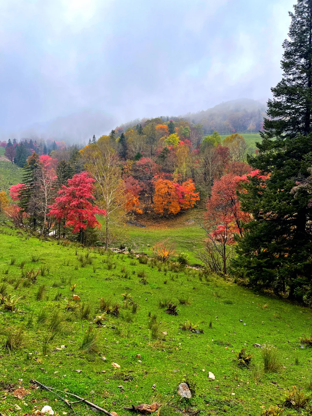 东北边陲小城，居然藏着祖国最美秋天！
