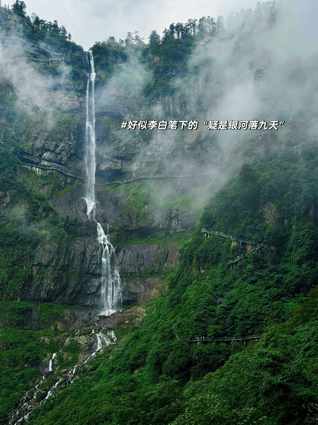 成都出发｜挑战每周出去玩（20/100）📍瓦屋山