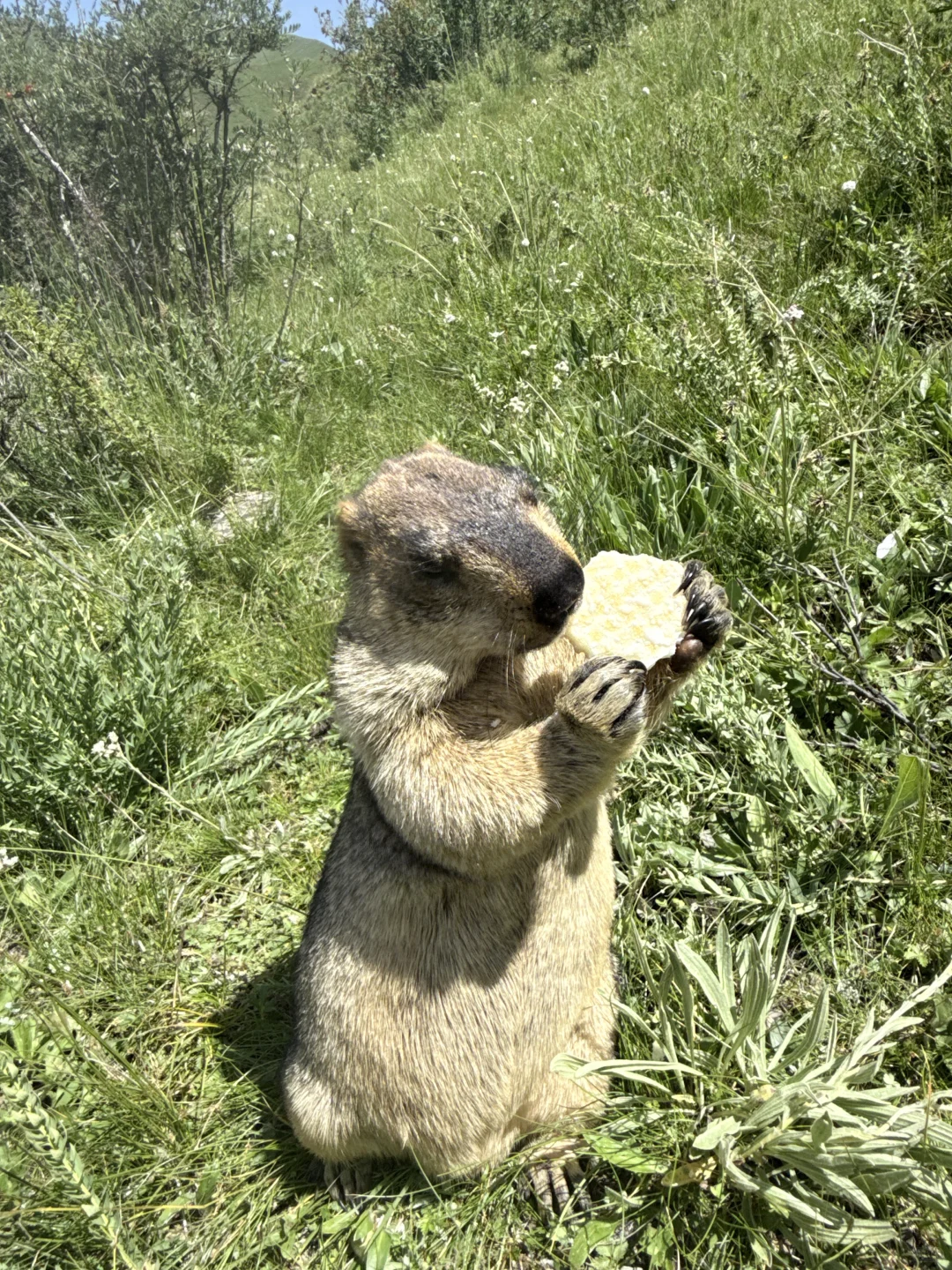 色达3天2晚！一个缺氧但不缺信仰（附攻略）