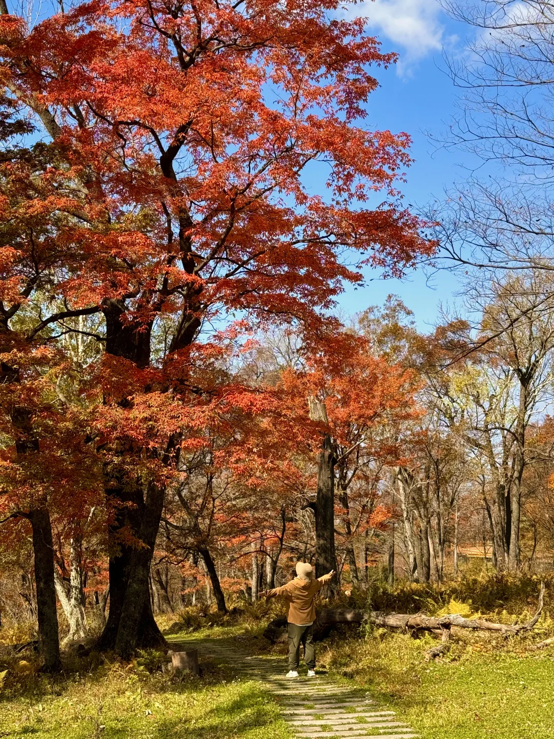 以为内蒙秋天已经够美了，直到我来了这里…