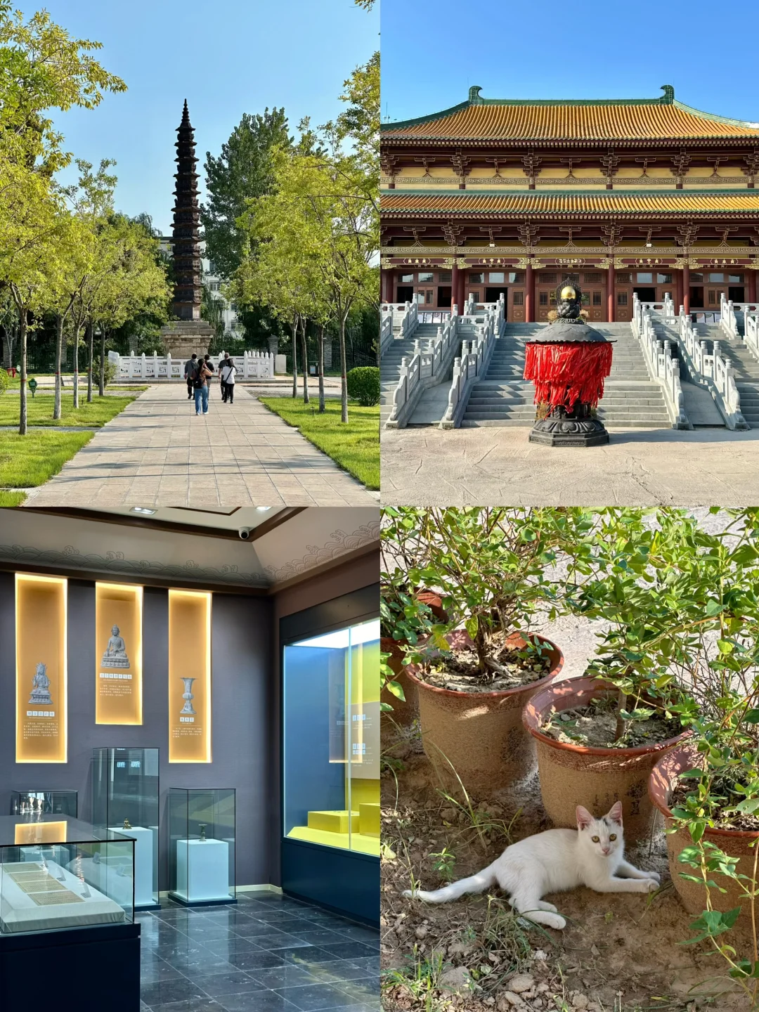 聊城｜避开人潮，我的初秋短途旅行目的地🍃