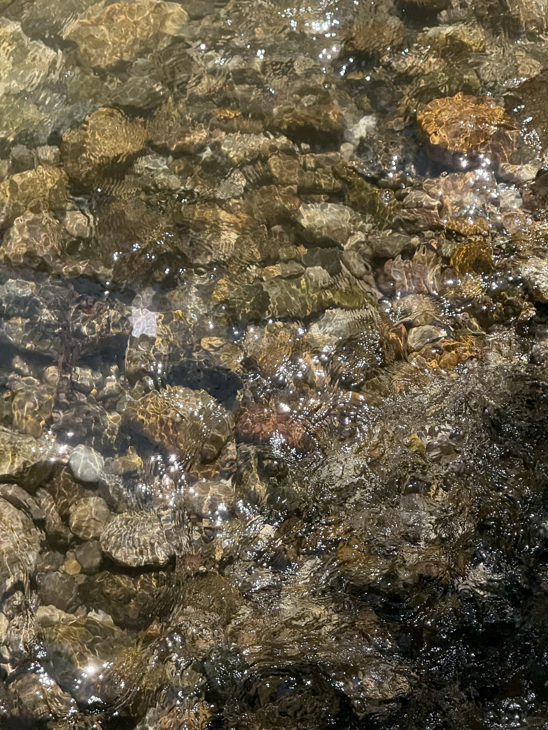 7.27日青城山后山一日游，已老实🥹