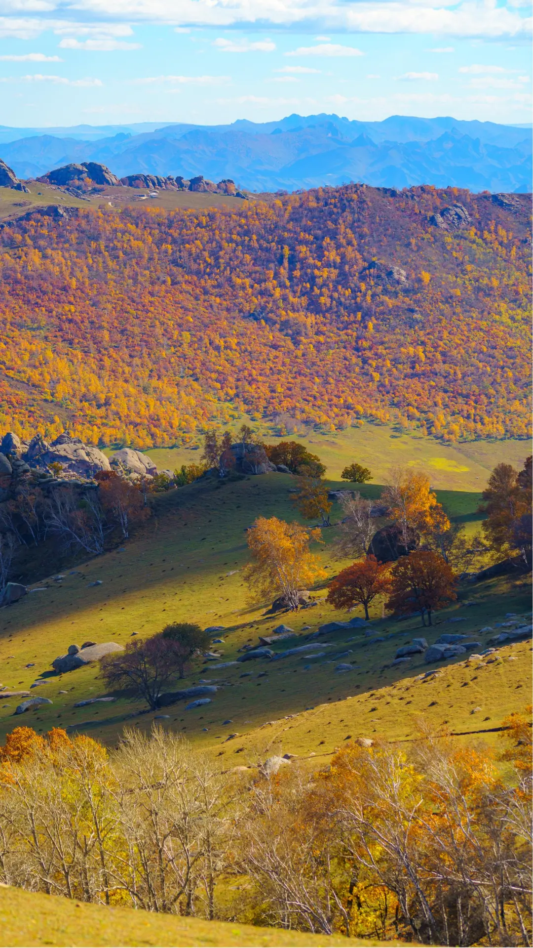 接下来的这里🍁将进入封神级别的秋景模式