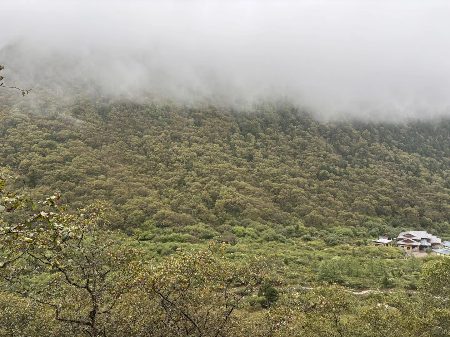 黄龙&九寨沟 大交通及景区交通攻略详解