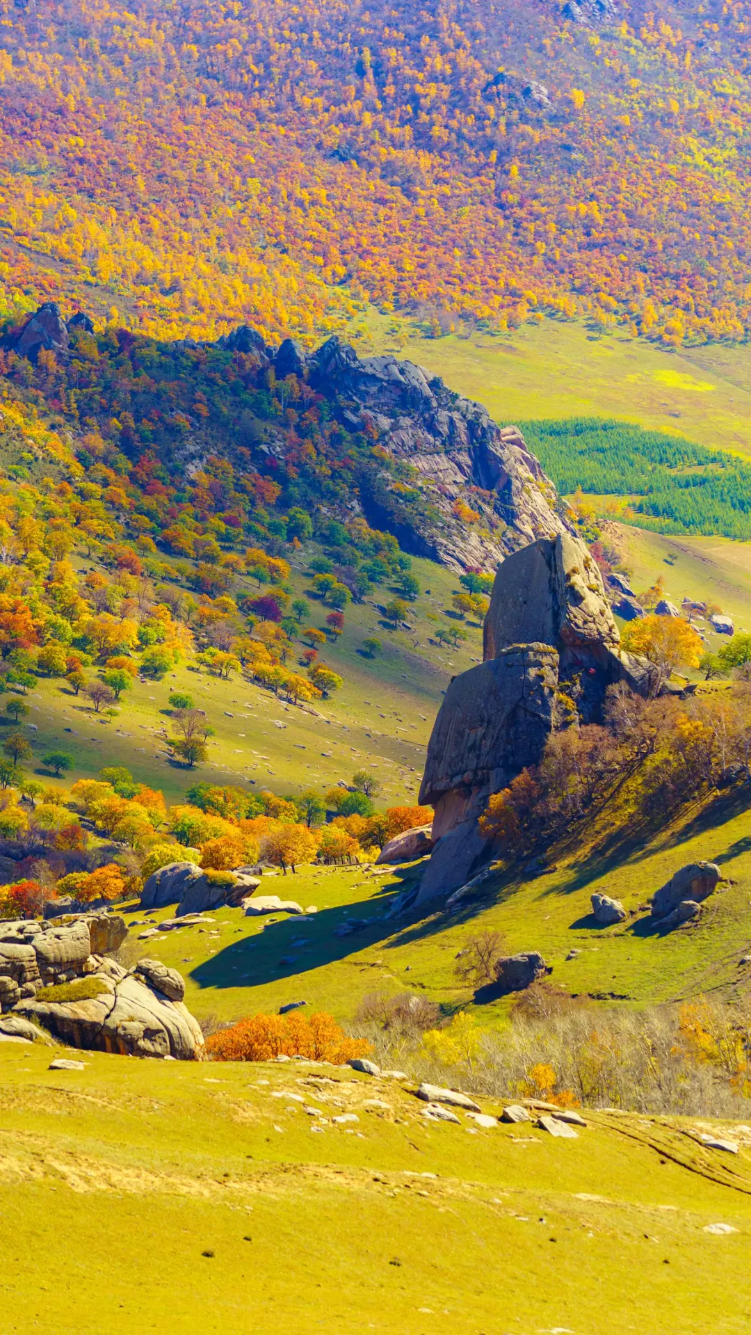 接下来的这里🍁将进入封神级别的秋景模式