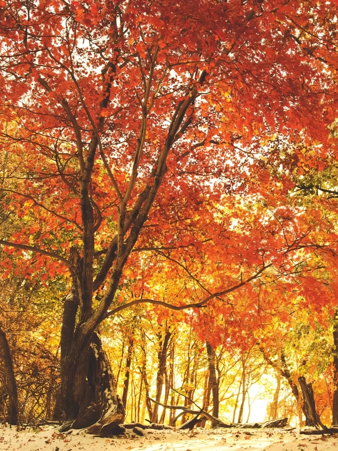 吉林龙湾旅游指南|听劝‼️秋季打卡必冲