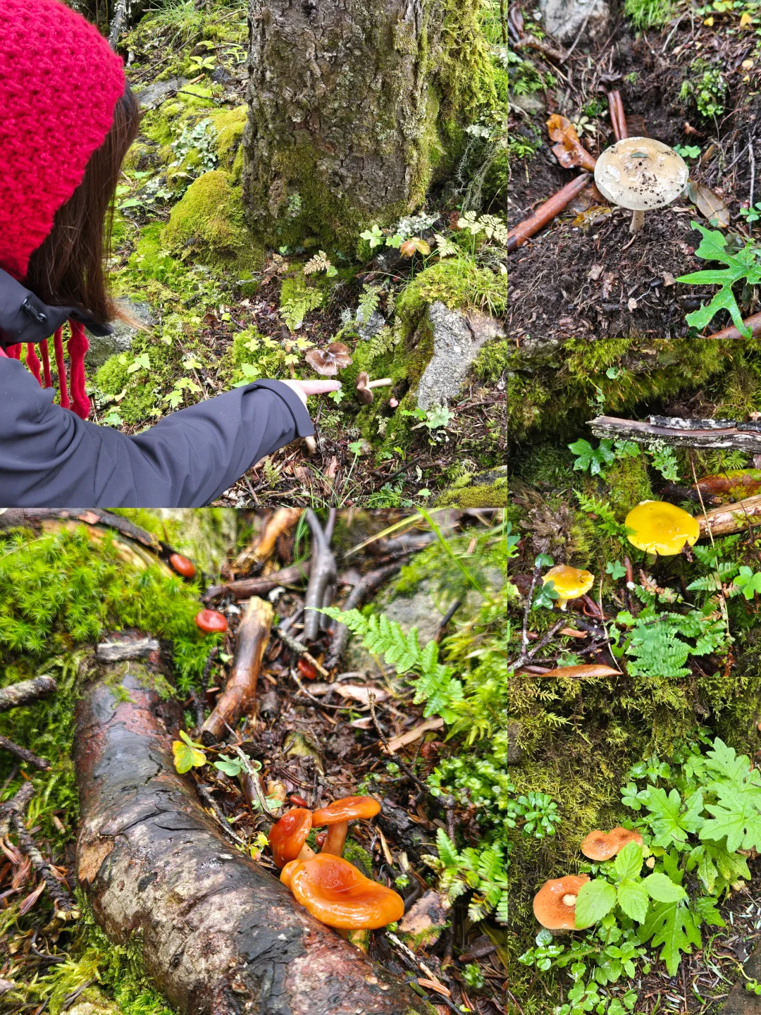 🔥康定情歌景区一日游｜ 避坑指南