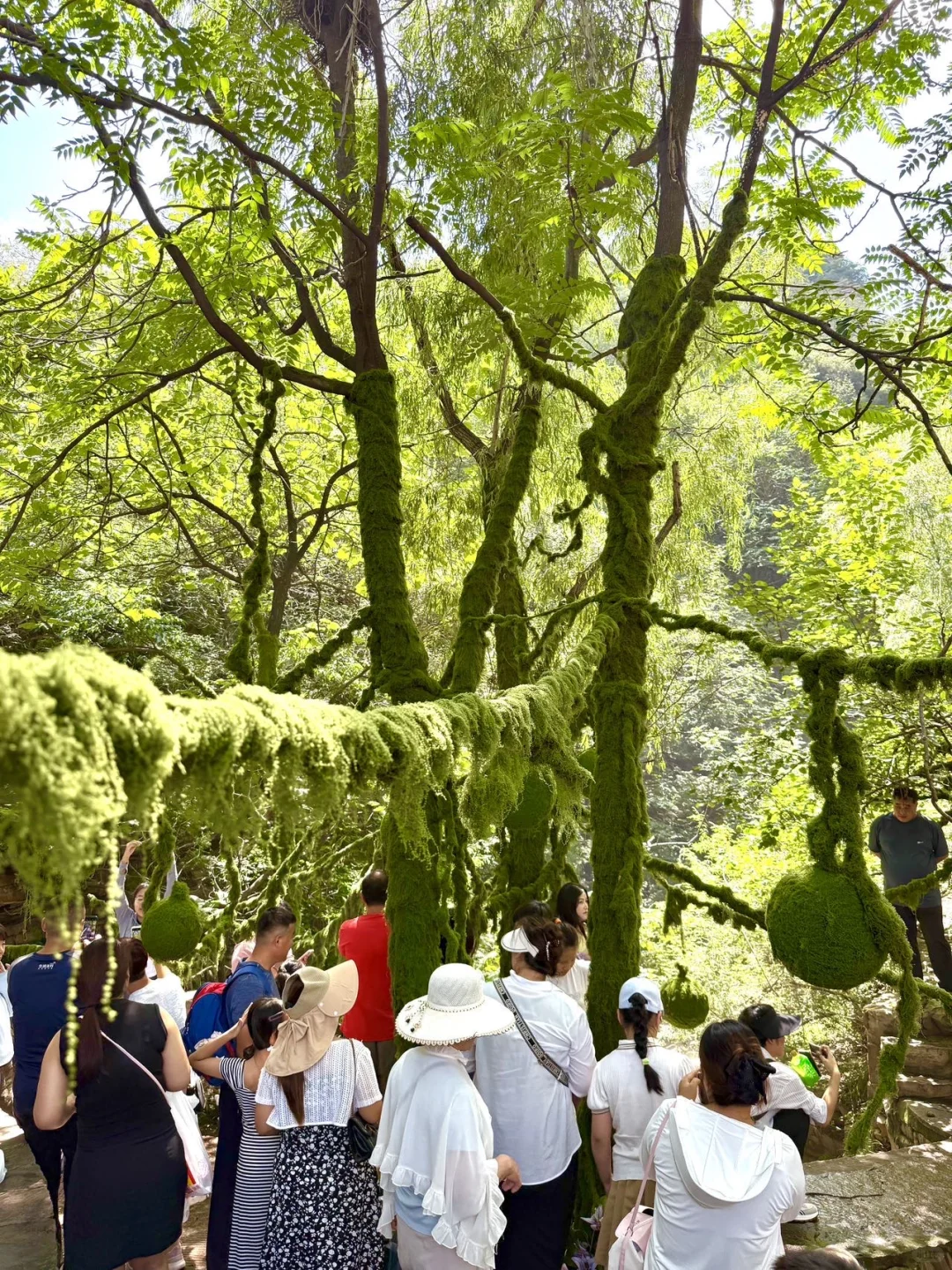 石家庄…1.5h直达乌镇？北方版水乡💨
