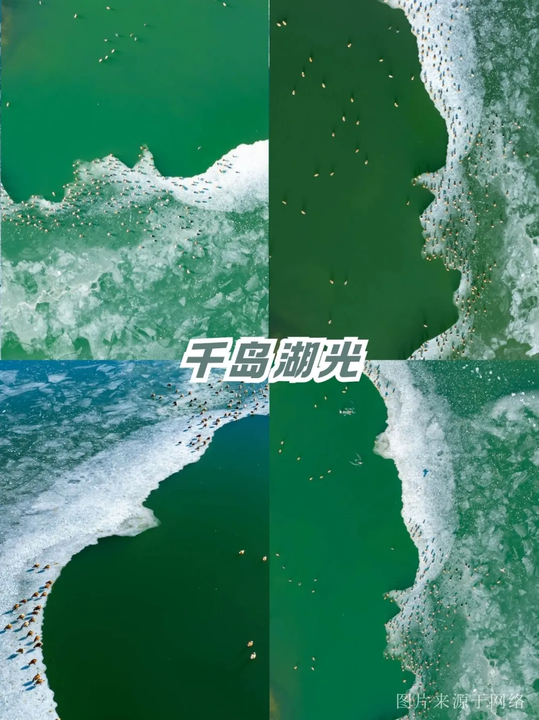 端午吸氧计划🌿呼和浩特8处治愈系秘境