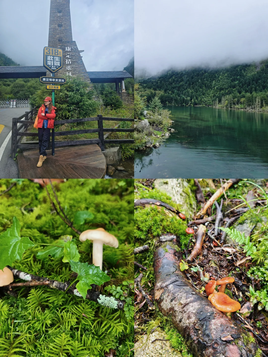🔥康定情歌景区一日游｜ 避坑指南