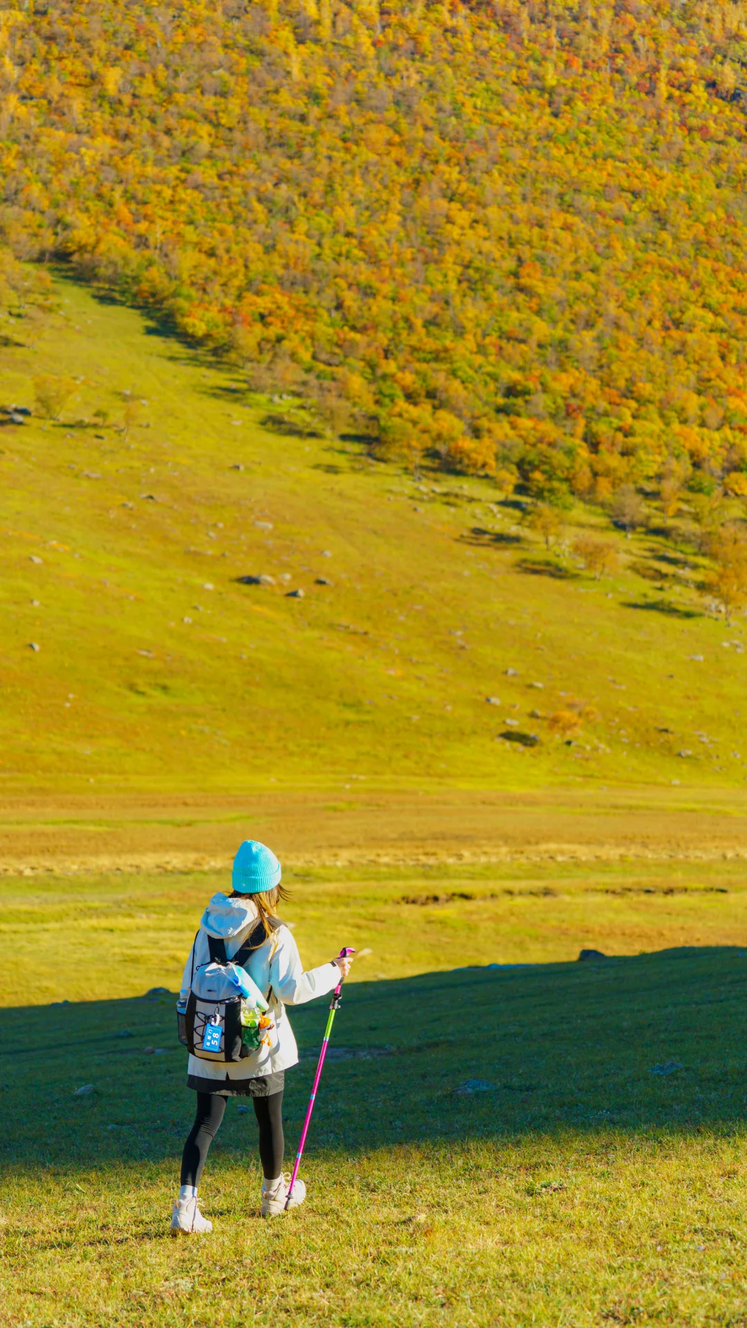 接下来的这里🍁将进入封神级别的秋景模式