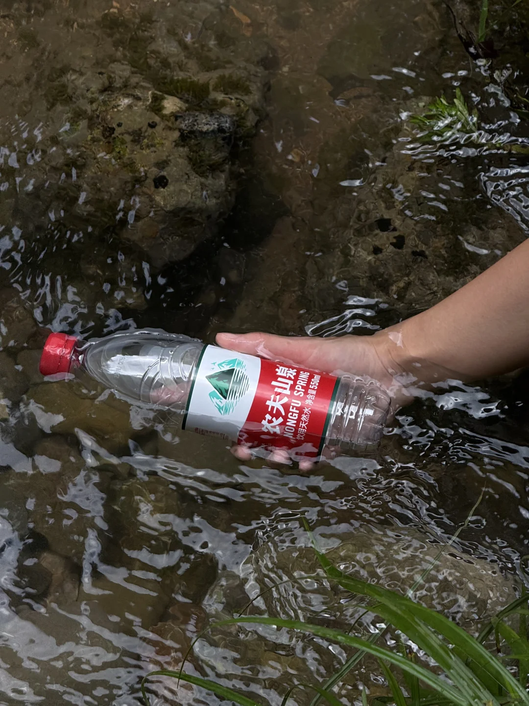 7.27日青城山后山一日游，已老实🥹