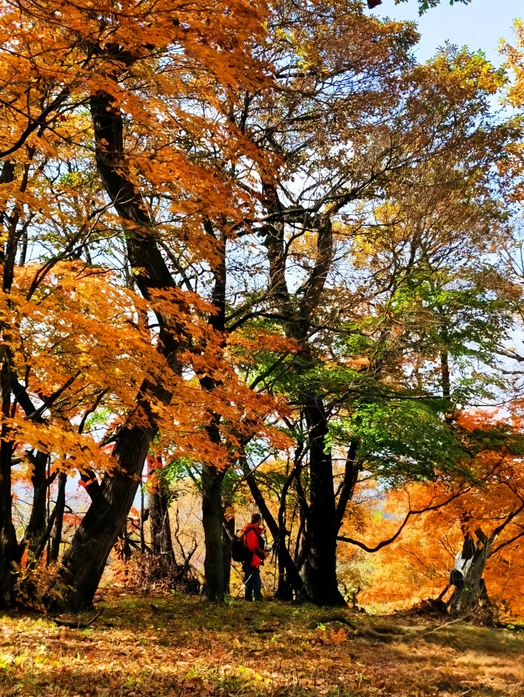 吉林龙湾旅游指南|听劝‼️秋季打卡必冲