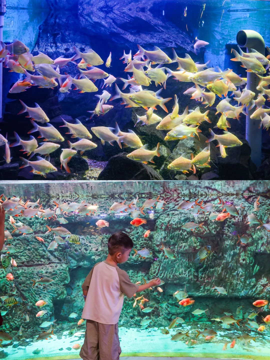 人生建议：带娃来威海一定要留一天给这里❗️