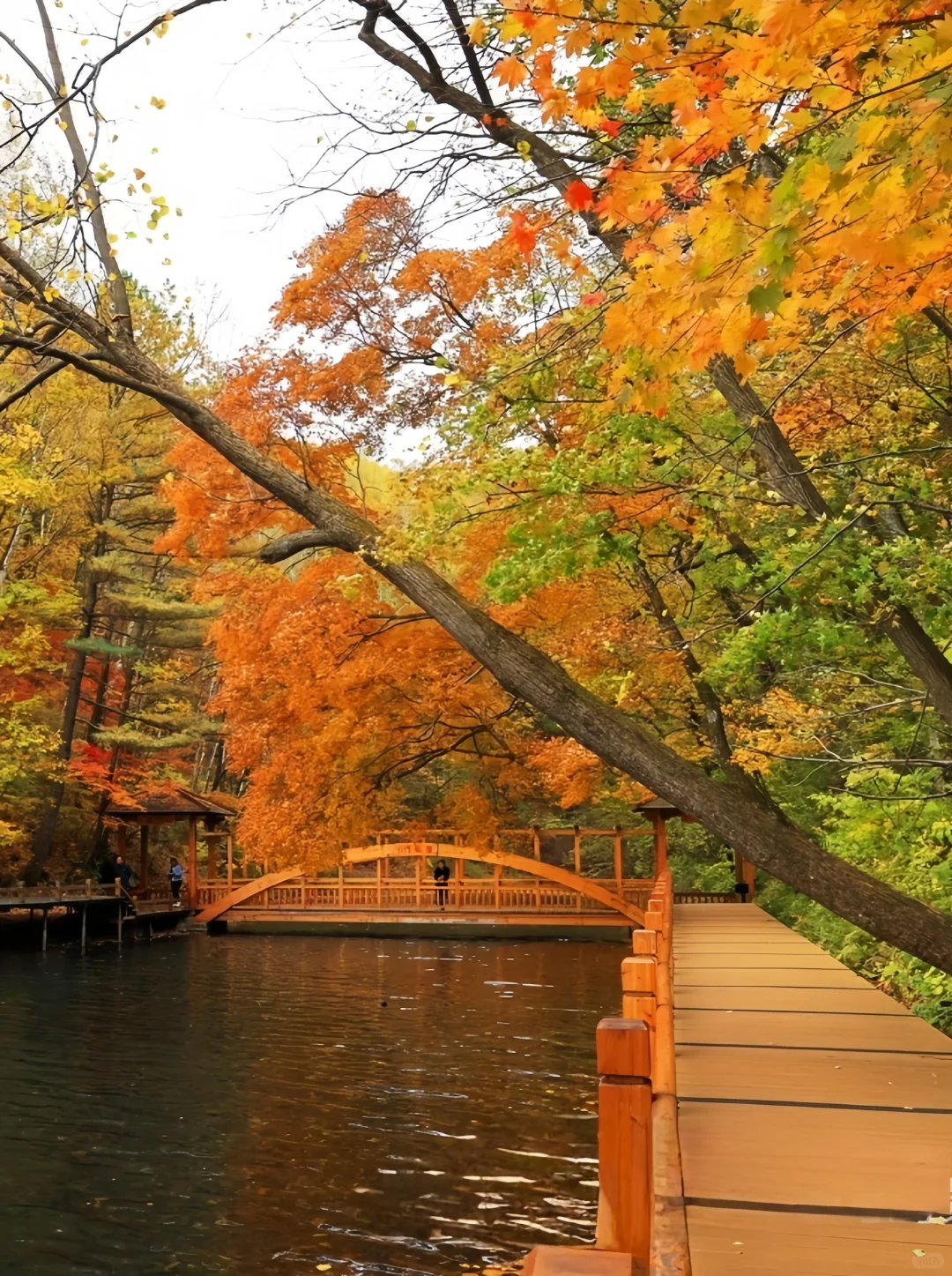 吉林龙湾旅游指南|听劝‼️秋季打卡必冲